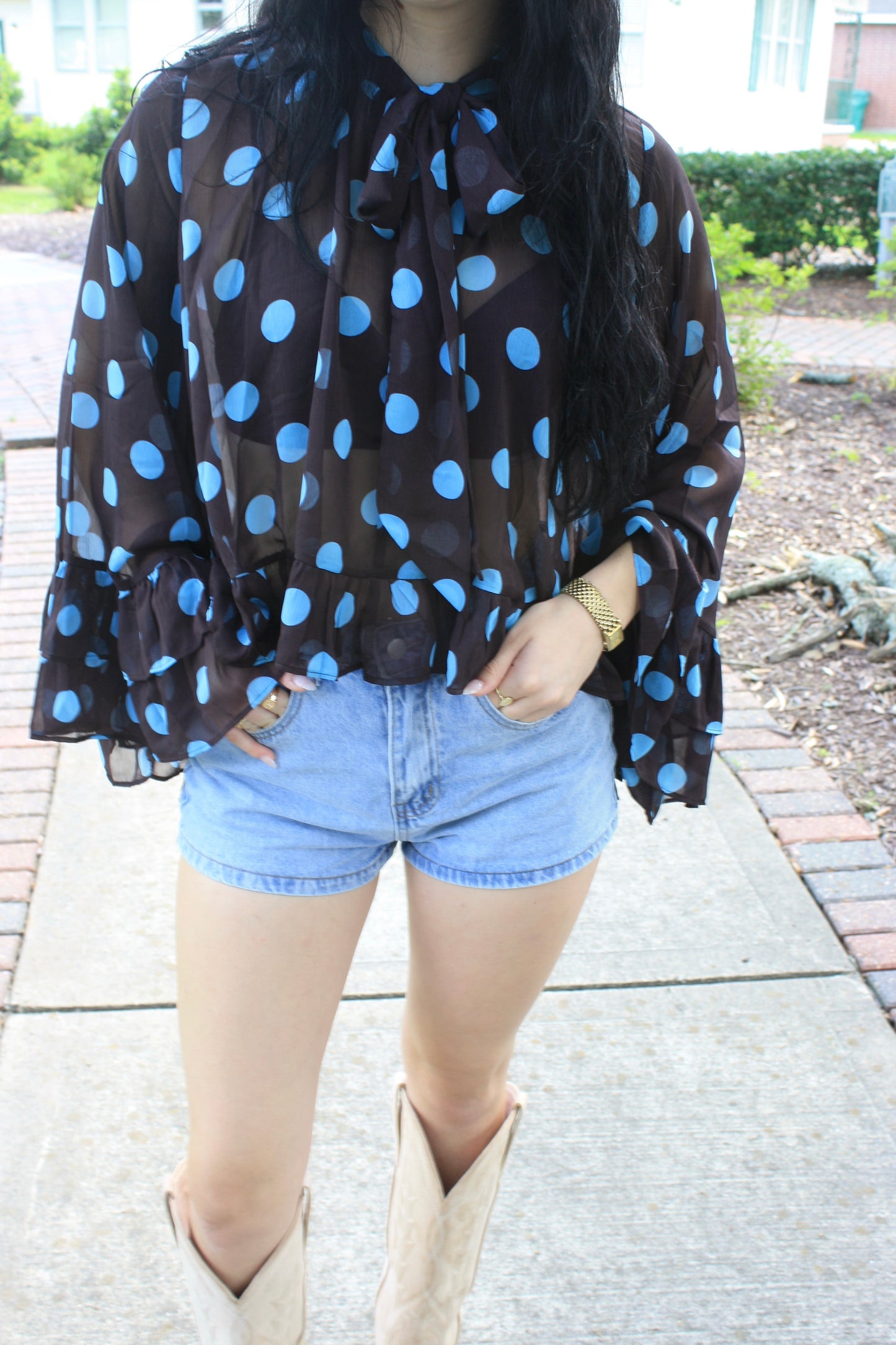 Plus Polka Dot Sheer Chiffon Ruffle Blouse